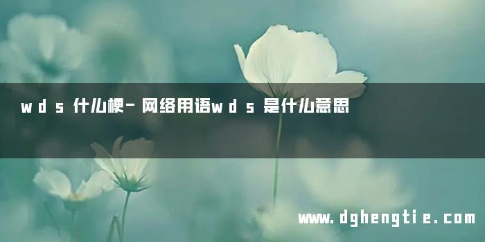 wds什么梗-网络用语wds是什么意思 